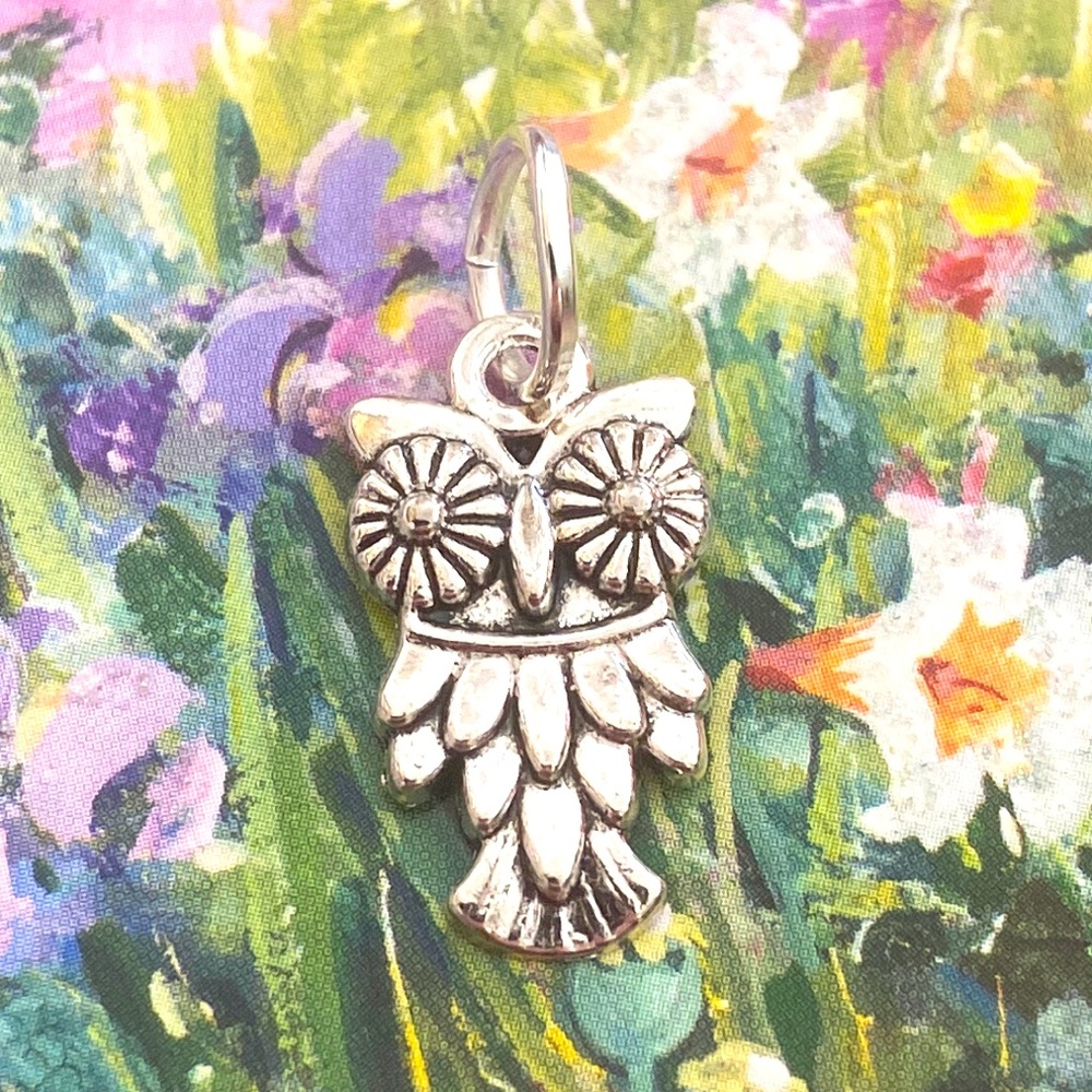 5/$10❤️❤️❤️NEW TIBETAN SILVER OWL CHARM